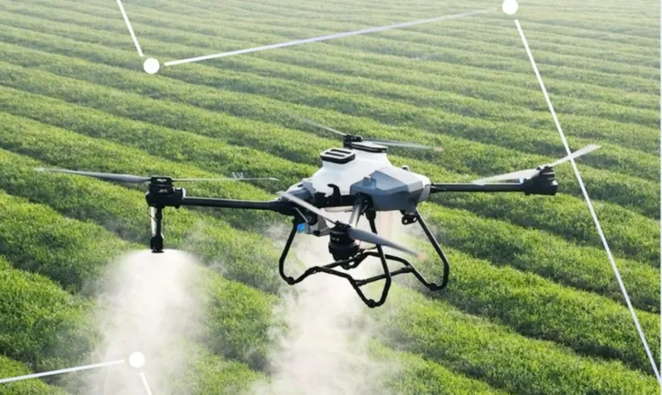 23cd8d18-f217-47b5-9769-a26a60d5beac_736x440