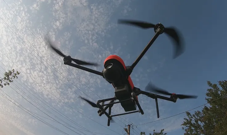 7ddbca32-4040-4226-b271-dc876e9c83ce_736x440