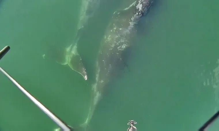 ffc5ea65-ba57-4cd4-b5d7-aaa6110bea2b_760x456