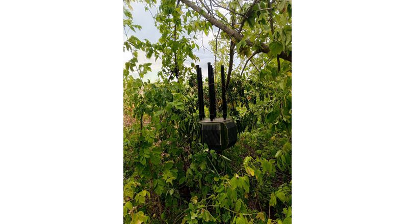 b79570f5-bf0d-4bda-b18c-a421a0dd2c49_812x440